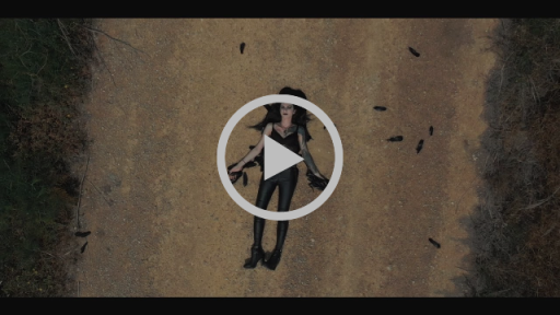 Seventh Hell presenta el videoclip de Black Crows