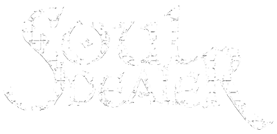 Soul Dealer logo